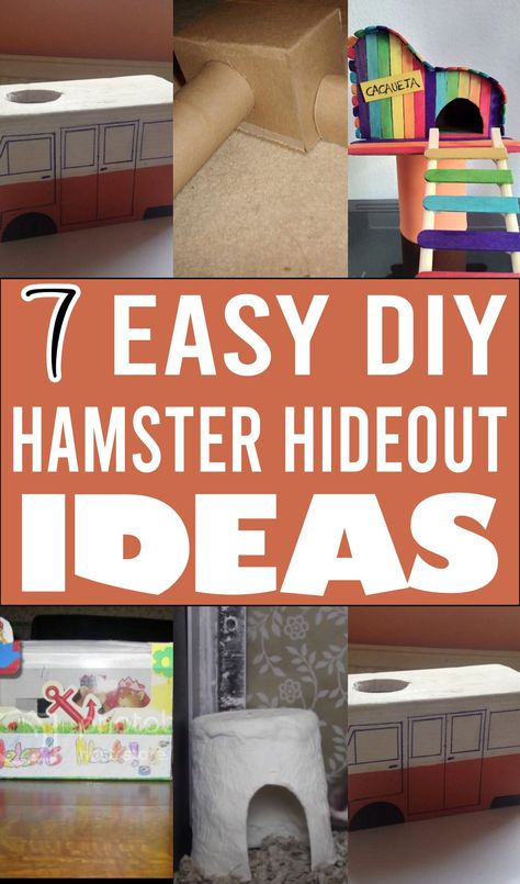 Diy Hamster Stuff, Hamster Enrichment, Hideout Ideas, Diy Hamster Toys, Hamster Platform, Hamster Maze, Diy For Pets, Hamster Hideout, Hamster Habitat