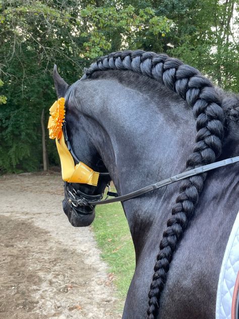 Horse Hair Braiding Ideas, Horse Tail Braid Ideas, Horse Hairstyles Ideas, Hairstyles For Horses, Quick Hairstyles Short, Horse Braids Mane, Horse Hair Styles, Horse Hair Ideas, Horse Mane Styles