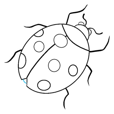 How to Draw Ladybug: Step 9 Ladybug Art Drawing, Simple Ladybug Drawing, Ladybug Outline Tattoo, How To Draw A Ladybug, Ladybug Tattoo Stencil, Ladybugs Drawing, Ladybug Drawing Simple, Cute Ladybug Drawing, Ladybug Outline