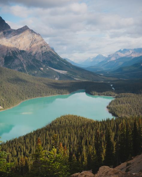 Happy World Photography Day! Here are 20 of some of my favorite photos I’ve taken in National Parks since they are one of my favorite things to photograph. 🤍 It took entirely too long to go though my thousands of photos and pick out some favorites, but it was fun reliving some trips again. 📍Peyto Lake, Banff National Park 📍Two Jack Lake, Banff National Park 📍Hoh Rainforest, Olympic National Park 📍Tunnel View, Yosemite National Park 📍Hurricane Ridge, Olympic National Park 📍Rialto Beach, Olym... Olympic National Park Photography, Banff National Park Photography, Acadia National Park Photography, Olympic National Park In Fall, Happy World Photography Day, Olympic National Park Beaches, Hikes In Olympic National Park, National Parks Grand Circle, Outdoor Adventure Photography