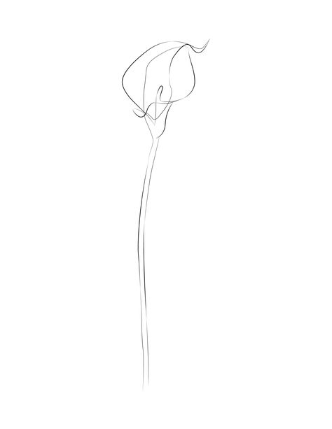 Calla Lily Line Tattoo, Single Line Calla Lily Tattoo, Flower Tattoos Simple Minimalist, Linear Tattoos For Women Minimalist, Calla Lily Line Drawing, Single Line Lily Tattoo, One Line Floral Tattoo, Contour Tattoo Line Drawings, Continuous Line Tattoo Flower