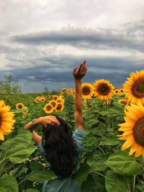 Sunflower Inspo Pics, Picture With Sunflower, Pics With Sunflowers, Photo With Sunflowers, Sunflower Festival Photoshoot, Pictures With Sunflowers, Sunflower Shoot, Sunflower Field Photoshoot, Sunflower Field Photography