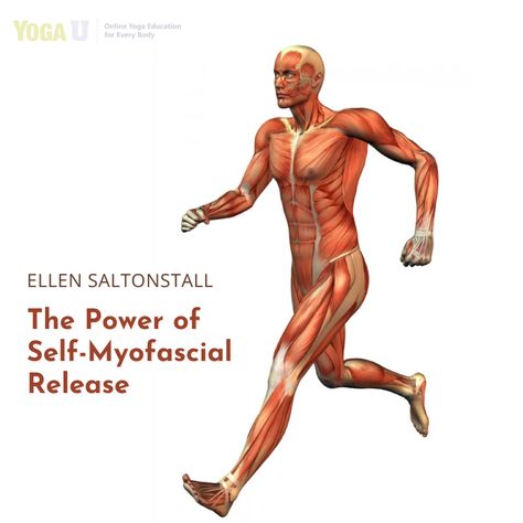 The importance of self-myofascial release is becoming increasingly recognized.  Author and yoga therapist Ellen Saltonstall shares insights from her 40 years of teaching her Bodymind Ballwork method for myofascial release and shows how it can enrich our yoga practice.    #myofascia #fascia #yoga #yogateacher #yogacourse #teachyoga #learnyoga #yogateaching #yogapractice #yogateacherstip #yogatip #meditation #yogaeverydamnday #meditate #yogalove #yogaeverywhere #health #yogajourney #yogastudio Fascia Yoga, Fascial Release, Yoga Therapist, Body Therapy, Myofascial Release, Learn Yoga, Yoga Community, Teaching Yoga, Yoga Teachers