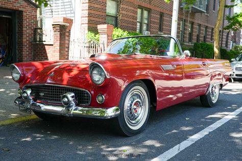 1955 Ford Thunderbird   for Sale | Exotic Car Trader (Lot #240313748) American Muscle Cars Ford, City Vehicles, Classic Vehicles, Sell Car, Ford Thunderbird, Car Finance, American Muscle, Car Ford, American Muscle Cars