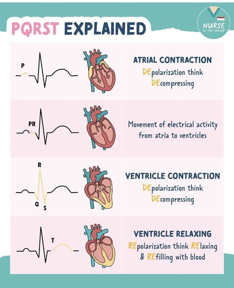 Nursing School Studying Cheat Sheets, Nurse Skills, Medical Assistant Student, Paramedic School, Kedokteran Gigi, Nursing School Essential, Nursing Study Guide, Medical School Life, Nursing School Motivation