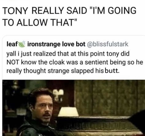 Tony Stark X Everyone, What The Frick Frack Diddly Dack, Hero Sayings, Funny Marvel, Funny Marvel Memes, Dc Memes, Dc Movies, Avengers Memes, Marvel Iron Man