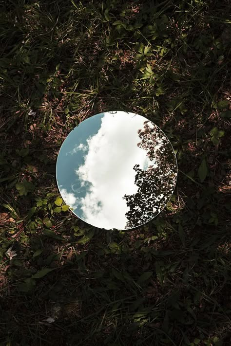 Wild nature | Reflections | Mirror in nature Reflective Photography Ideas, Contrast In Nature, Mirror On Ground, Sebastian Magnani, Reflective Photography, Elements Photography, Spherical Mirror, Reflection Mirror, Contrast Photography