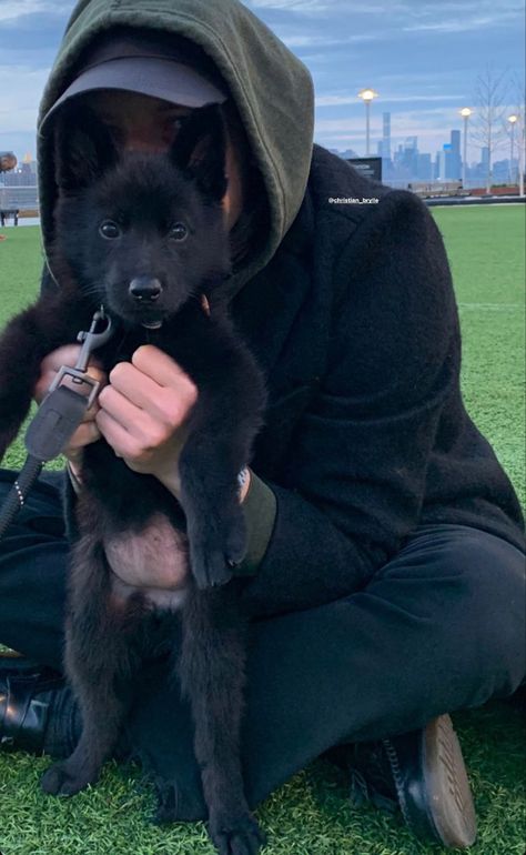 Black German Shepherd Aesthetic, Black Dogs Breeds, German Shepherd Dark Aesthetic, Black German Shepherd Puppies, Black Doberman, Black German Shepherd Dog, Scary German Shepherd, Black Puppy, Black German Shepherd Scary