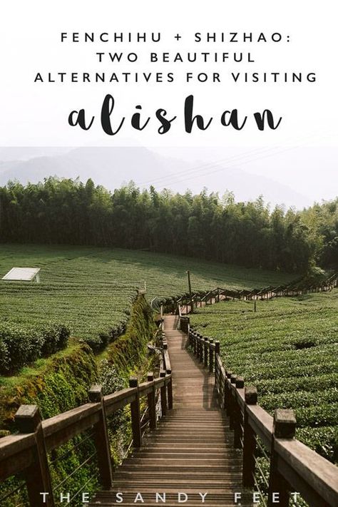 A Short Guide To Shizhao + Fenchihu | Two Serene Alternatives For Visiting Alishan - The Sandy Feet #taiwan #traveltaiwan #asia #travelasia #alishan #hiking Alishan Taiwan. Alishan Hiking Trails. How To Get To Alishan. What To Do In Alishan. Most Beautiful Places In Taiwan. Things To Do In Taiwan. Places To Visit In Taiwan. Hiking Taiwan. Alishan Sunrise. Alishan Tea. Alishan Taiwan, Travel Taiwan, Asian Travel, Travel Secrets, Russia Travel, Backpacking Asia, Taiwan Travel, Travel Wishlist, Asia Travel Guide