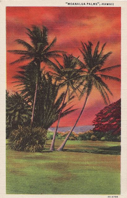 Hawaii Art Print, Hawaiian Travel, Hawaiian Sunset, Hawaii Art, Palm Tree Art, Vintage Aloha, Hawaiian Art, Hawaii Usa, Keramik Design