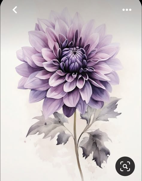 Flower Illustration Drawing, Purple Dahlia Tattoo, Watercolor Dahlia Tattoo, Lilac Wall Art, Dalia Painting, Watercolour Dahlia, Dahlia Flower Drawing, Drawing Aesthetic Sketchbook, Dahlia Drawing