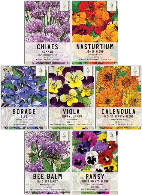 Amazon.com : Seed Needs, Edible Wildflower Seed Packet Collection ( 7 Varieties of Flower Seed for Planting) Non-GMO & Untreated - Includes Viola, Pansies, Chives, Borage, Calendula, Nasturtium and Bee Balm : Patio, Lawn & Garden Wild Bees, Flower Seeds Packets, Best Edibles, Seed Packaging, Butterfly Pea Flower, Bee Balm, Pea Flower, Flowering Plants, Growing Seeds