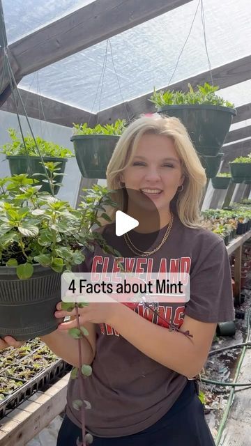 Needmore Farms | Gardening, DIY, and Recipes on Instagram: "Mint is also a mosquito repellent! 🌱   #garden #gardening #gardentips #gardeningtips #herbs #mint #gardenlife #needmorefarms" Mint Garden Ideas, Mint Garden, Gardening Diy, January 29, Mosquito Repellent, Farm Gardens, Plant Care, Gardening Tips, Repellent