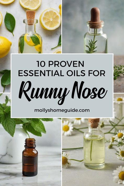 Discover the best essential oils for runny nose relief with these soothing diffuser blends and roller recipes. Find natural support for spring congestion and sneezing using essential oils like eucalyptus, peppermint, and lemon. Learn how to create DIY essential oil blends for seasonal allergies that help clear congestion effectively. Explore kids diffuser blends to provide gentle relief from rhinorrhea using safe and calming essential oils. Best Essential Oil For Congestion, Congestion Blend Essential Oils, Essential Oil For Congestion Diffuser, Diffuser Blend For Runny Nose, Essential Oils For Sneezing, Best Essential Oils To Have On Hand, Face Massage For Nasal Congestion, Essential Oil Blends For Congestion, Natural Remedies For Runny Nose