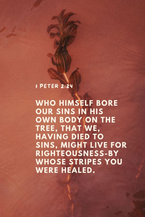 1 Peter 2:24 Wallpaper, Aesthetic Scripture, Redeeming Love, Healing Scripture, Blessed Mother Mary, Biblical Verses, Daily Scripture, Scripture Journaling, Body On