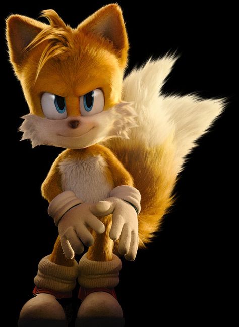 Tails The Fox Sonic Movie, Sonic Knuckles Tails, Sonic The Hedgehog Tails, Tails Sonic The Hedgehog, Tails Sonic, Dr Robotnik, Sonic The Hedgehog 2, Sonic Tails, Sonic Underground