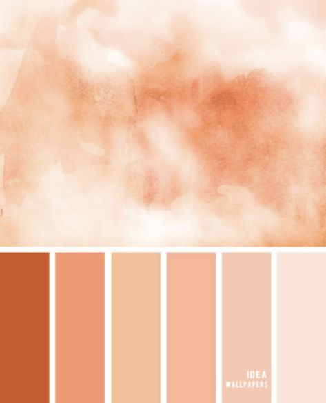 Peach Combination, Peach Color Palette, Peach Color Palettes, Peach Watercolor, Pantone Colour Palettes, Orange Color Palettes, Colour Pallets, Colour Board, Peach Color