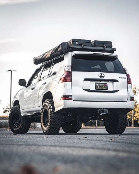 Lexus Gx460 Overland, Lexus Gx 460 Lifted, Lexus Gx460 Offroad, Lexus Gx470 Overland, Lexus Gx470 Offroad, Lexus Offroad, Camper Suv, Suv Toyota, Lexus Suv