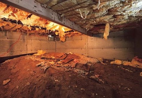 Crawl Space Storage, Crawl Space Vapor Barrier, Crawl Space Vents, Crawl Space Insulation, Crawl Space Repair, Crawl Space Encapsulation, Basement Systems, Foundation Repair, Bob Vila