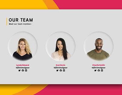 Team Card Design, Meet The Team Poster Design, Team Profile Design, Team Section Web Design, Website Team Page, Team Presentation Design, Team Members Design Layout, Meet Our Team Design, Team Design Layout