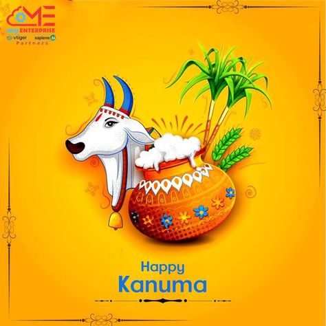 Kanuma Festival Wishes, Kanuma Festival, Happy Kanuma, Sankranthi Wishes, Makar Sankranti Greetings, Nice Good Morning Images, Cute Wallpapers For Android, Wedding Background Wallpaper, Happy Pongal