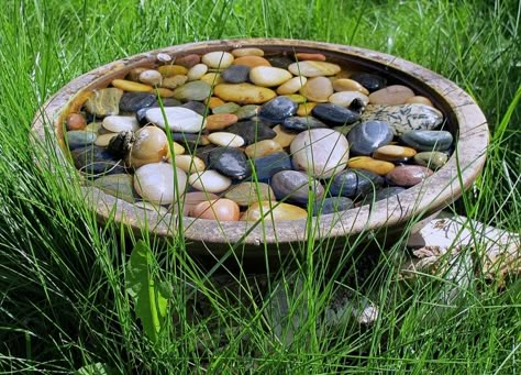 Vegetable Garden For Beginners, Bird Bath Garden, Low Maintenance Garden, Garden Features, Garden Cottage, Zen Garden, Front Garden, Rock Garden, Modern Garden