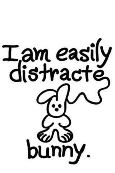 35 Hilarious Distraction Memes | Fairygodboss Bunny Meme, Totally Me, Easily Distracted, Funny Bunnies, Priyanka Chopra, Bones Funny, The Words, Great Quotes, Funny Photos