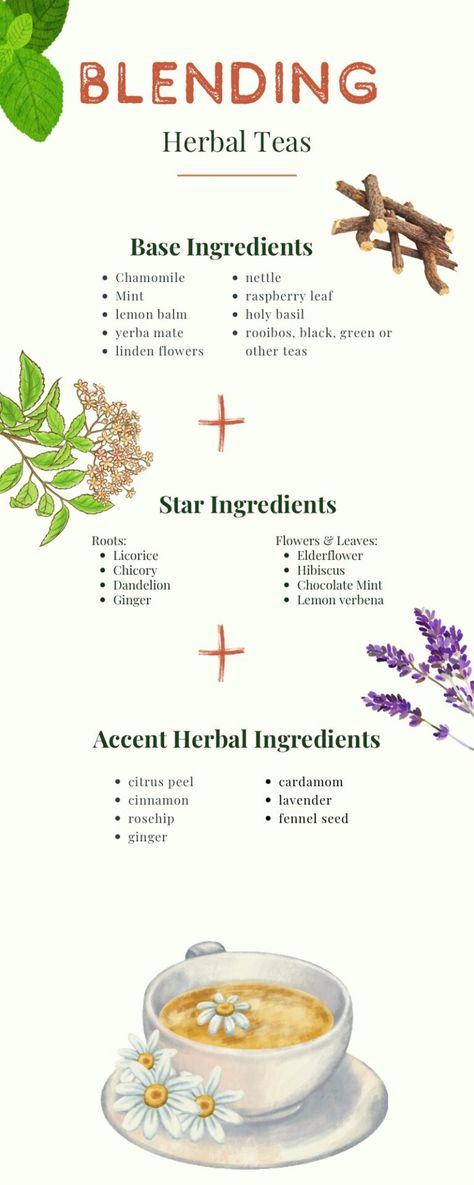 Herbal Tea Recipes Homemade, Herbal Tea Recipes, Tea Blends Recipes, Herbal Tea Garden, Medicinal Tea, Healing Tea, Homemade Tea, Herbal Teas Recipes, Tea Diy