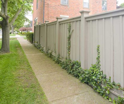 Hardie Board Fence Ideas, Property Privacy Fence Ideas, Board And Batten Fence Ideas, Outdoor Privacy Fence Ideas, Colonial Fence Ideas, Front Privacy Fence Ideas, Vinyl Fencing Ideas Backyards, Privacy Fence Styles, Board And Batten Fence