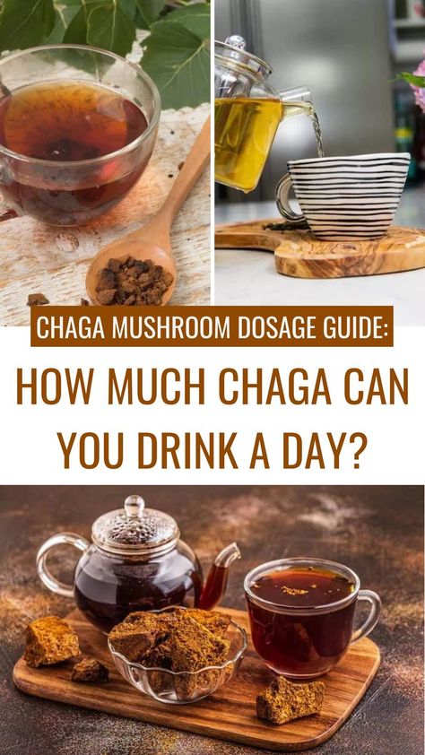 Unlock the secrets of Chaga mushroom dosage! Discover the recommended intake and find out how much Chaga you can drink in a day. Learn about the factors to consider, potential benefits, and how to incorporate Chaga into your daily routine. Explore the world of this incredible medicinal mushroom and embrace its wellness potential! #ChagaMushroom #DosageGuide #NaturalSupplements Chaga Mushroom Benefits, Chaga Tea, Mushroom Benefits, Chaga Mushroom, Senior Health, Can Drink, Tea Tasting, Natural Supplements, Healthy Dessert Recipes