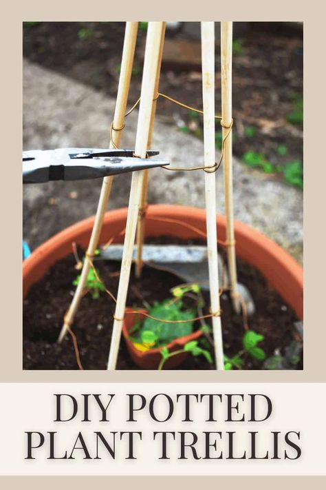 How to Make an Easy DIY Trellis for Potted Plants - Hilltop in the Valley Small Trellis For Pot, Diy Small Trellis For Potted Plants, Diy Trellis For Potted Plants, Container Trellis, Trellis Porch, Cheap Trellis, Green Bean Trellis, Make A Trellis, Potted Plant Trellis