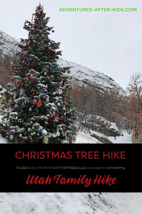 Be sure to check out this awesome hike during your Christmas season.  It is a great trail for beginners and families #utahfamilyfriendlyhikes #holidaytraditions #christmastraditons #ogdenfamilyfriendlyhikes #kidfriendlyhike Christmas Hike, Merry Christmas Friends, Winter Play, Adventure Ideas, Utah Adventures, Ogden Utah, Family Hiking, Enjoy Winter, Kids Holiday