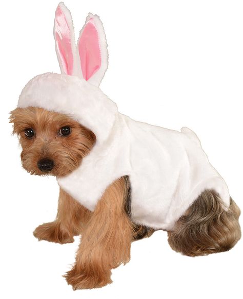 Bunny Pet Costume Halloween Costumes Bunny, Minecraft Animal Pens, Funny Pet Costumes, Clue Game, Bunny Pet, Costumes For Dogs, Dog Easter, Washable Dog Bed, Animal Costumes