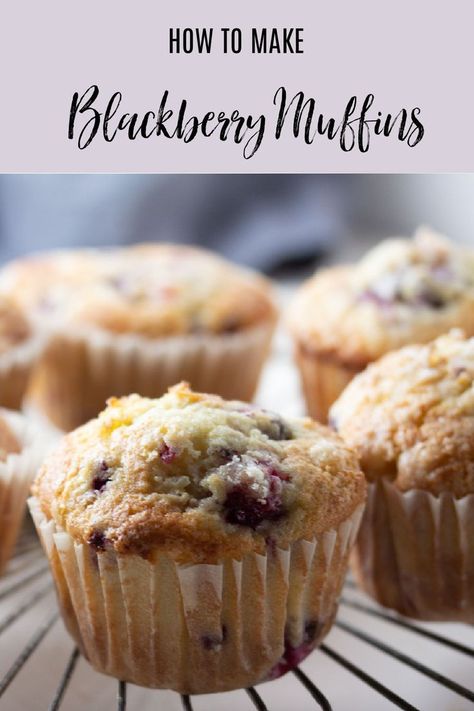 blackberry muffins on a round cooling rack. Small Batch Blackberry Recipes, Blackberry Muffin Recipe, Easy Weekend Breakfast, Mixed Berry Muffins, Blackberry Muffins, Blackberry Muffin, Batch Recipes, Blackberry Recipes, Berry Muffins