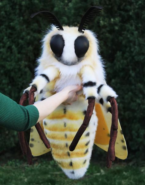 Giant Plush Pattern, Plush Making, Plush Suit, Moth Crafts, Giant Plushies, Fluffy Moth, Silk Moth, Moth Plush Pattern, Moth Stuffed Animal Pattern