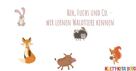 Reh, Fuchs und Co. – wir lernen Waldtiere kennen Winter Kindergarten, Kindergarten Activities, Kindergarten, Animals, Quick Saves