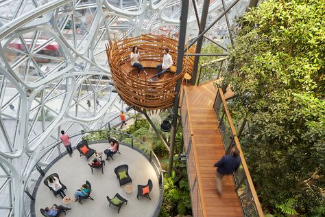 Amazon Spheres, Seattle Interior Design, Creative Office Space, Louis Kahn, Architectural Photographers, Space Images, Luz Natural, Built Environment, Green Space