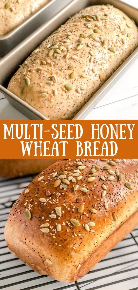 honey wheat bread with seeds in a baking pan and on a cooling rack Sunflower Seed Loaf, Homemade Seed Bread, Sunflower Seed Rolls, Sesame Seed Bread Recipes, Seed Bread Recipe Healthy, Seeded Oat Bread, Seedy Bread Recipe, Seed And Nut Bread, Whole Wheat Seed Bread Recipe