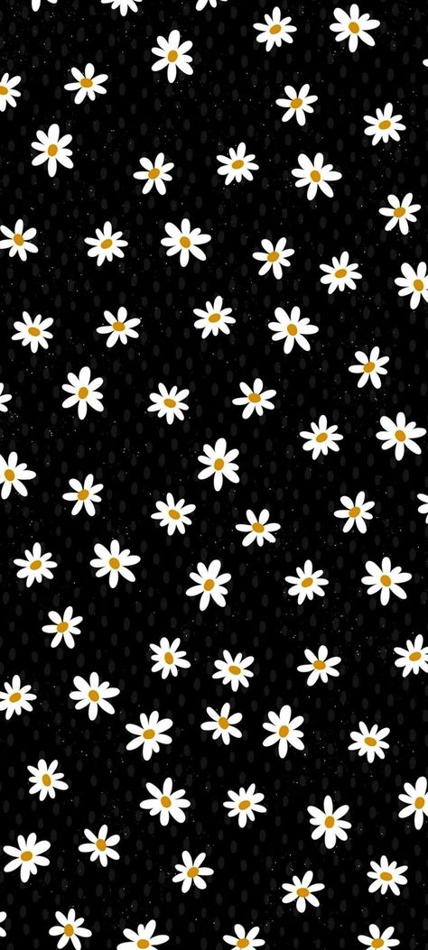 Wallpapers 2024, Cute Images For Wallpaper, Al Qur'an Aesthetic, Cute Lockscreens, Red Daisy, Panda Art, Iphone Background Wallpaper, Simple Wallpapers, Pretty Wallpapers Backgrounds