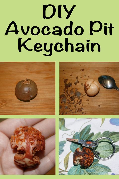 Avocado Pit Carving Tutorial, How To Grow An Avocado From A Pit, Carving Avocado Pits, Avocado Pit Carving, Carved Avocado Pit, Avocado Pit Jewelry, Diy Jewelry For Beginners, Avocado Carving, How To Graft An Avocado Tree