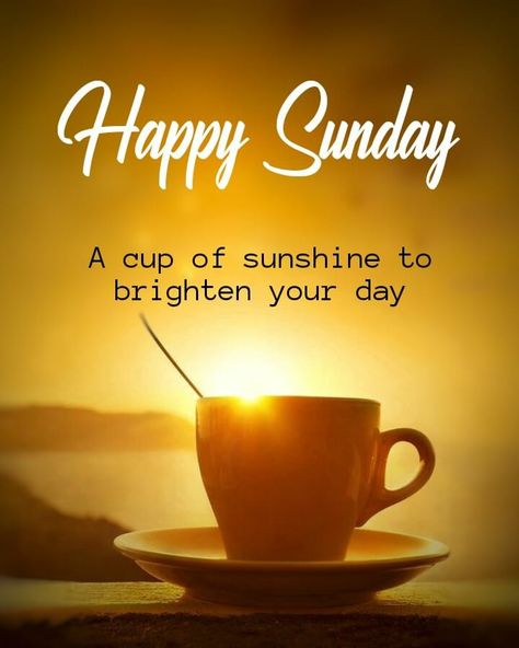 Sunday And Coffee Quotes, Beautiful Sunday Quotes Inspirational, Sunday Thought For The Day, Sunday God Good Morning Images, Sunday Good Morning Coffee Image, Happy Sunday Morning Hindi, Happy Sunday Pictures, Blessed Sunday Quotes, Sunday Morning Coffee