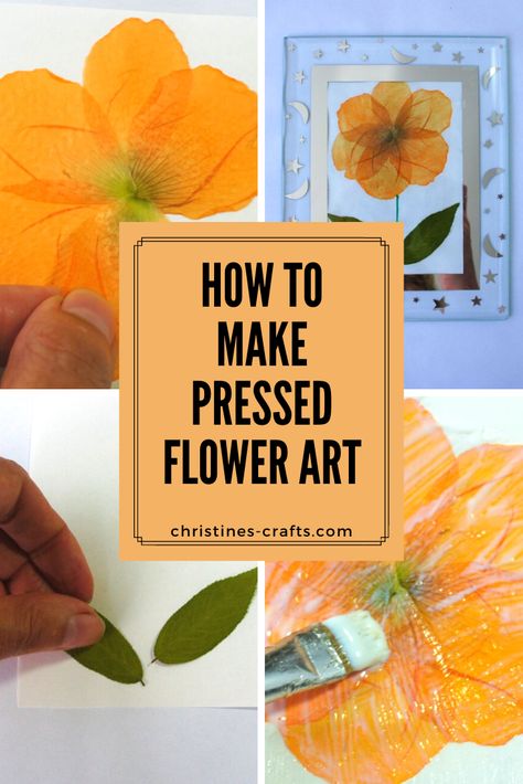 How to Make Pressed Flower Art Simply Diy Pressed Flower Art, Pressed Botanical Art, Pressed Flower Cards, Flower Petal Art, Pressed Flowers Diy, Flower Projects, Flower Pressing, Pressed Flower Crafts, Easy Arts And Crafts