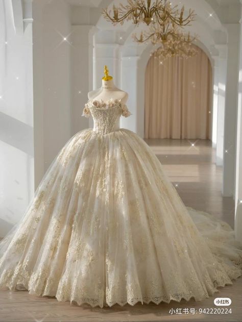 1860s Wedding Dress, Fairy Quinceanera Dress, Debut Gowns, Pretty Quinceanera Dresses, Wedding Dress Champagne, Fancy Wedding Dresses, Pretty Wedding Dresses, Dream Wedding Ideas Dresses, Fantasy Gowns