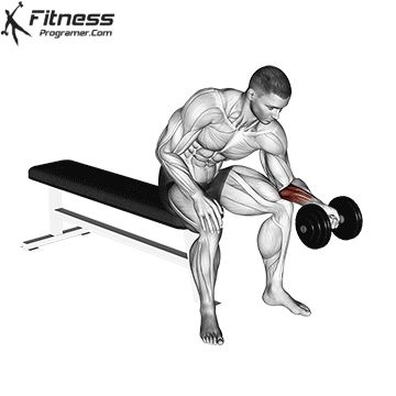 Forearm Exercises Men, Wrist Exercises Strength, Forearm Exercise, Wrist Workout, Best Forearm Exercises, Forearm Exercises, Arm Training, 300 Workout, Concentration Curls