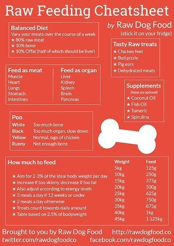 Dog Raw Diet, Raw Feeding For Dogs, Best Dry Dog Food, Raw Dog Food Diet, Raw Dog Food, Dog Tricks, Food Dog, Raw Dog Food Recipes, Raw Diet