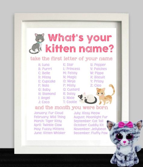 Virtual Sleepover, Funny Name Generator, Silly Quizzes, What Is My Name, Fun Names, Hello Kitty Girl, Donut Invitation, Kitten Birthday Party, Cloak Dress