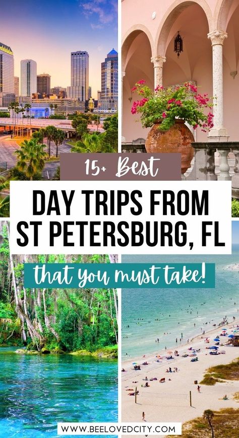 Things To Do In St Petersburg Florida, At Petersburg Florida, Florida Day Trips, Florida Itinerary, Saint Petersburg Florida, St Pete Florida, Florida Travel Destinations, Florida Travel Guide, Travel Florida