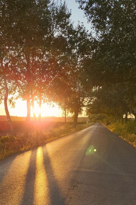 Sunset is causing sun rays to shine through the trees on an empty road. Nature Photography Flowers, Photography Flowers, Mountain Sunset, Sunset Sky, Sun Rays, The Sunset, Beach Sunset, Cool Pictures, The Sun