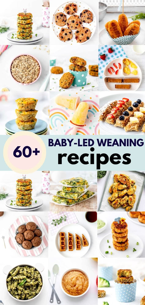 If you’re looking for more options to include in your baby’s menu, check out these healthy baby led weaning recipes! Each one is formulated specifically for babies and toddlers, and they make it so much easier to feed them nourishing, healthy meals every day! Remember to save these ideas for later for quick inspiration! Vegetarian Blw Recipes, 8 Month Old Meal Ideas Blw, Blw Recipes 8 Months Meal Ideas, 6 Month Old Blw Meals, 101 Before One Recipes, Blw Recipes 12 Months, 7 Month Baby Led Weaning Food Ideas, Easy Baby Recipes Food Ideas, Baby Led Weaning 8 Months Meals