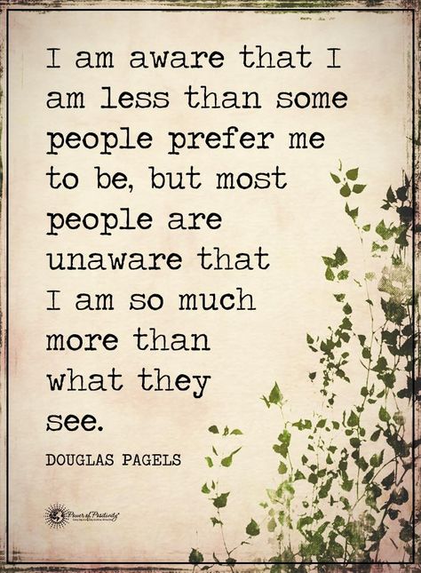 I am aware that I am less than some people prefer me to be, but most people are unaware that I am so much more than what they see. - Douglas Pagels  #powerofpositivity #positivewords  #positivethinking #inspirationalquote #motivationalquotes #quotes Misunderstood Quotes, I Am Quotes, Quotes That Describe Me, A Quote, Beautiful Quotes, Meaningful Quotes, Great Quotes, Beautiful Words, True Quotes